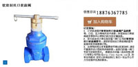 JMZ15X表前加密软密封防盗闸阀DN15