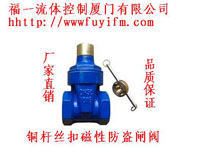 JMZ15X表前加密软密封防盗闸阀DN20