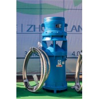 村鎮排澇便捷式安裝QSH中吸式潛水軸流泵 高品質軸流泵廠家