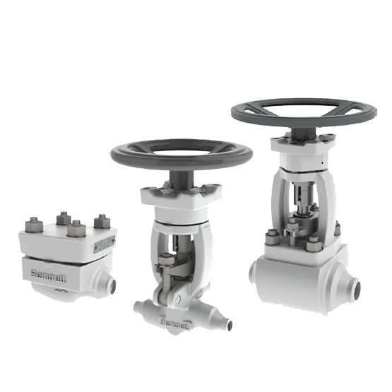 德国Sempell 核型NICO 4000高压截止阀和止回阀 德国Sempell 核型NICO 4000高压截止阀和止回阀